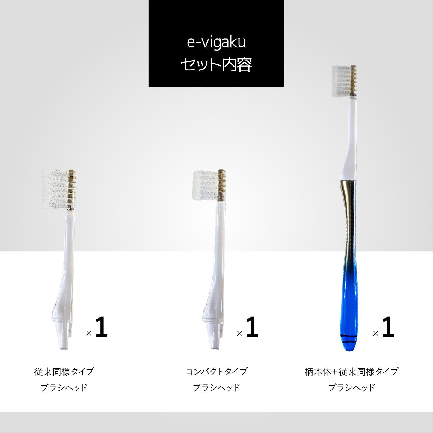 e-vigakuギフトセット・マロウブルー