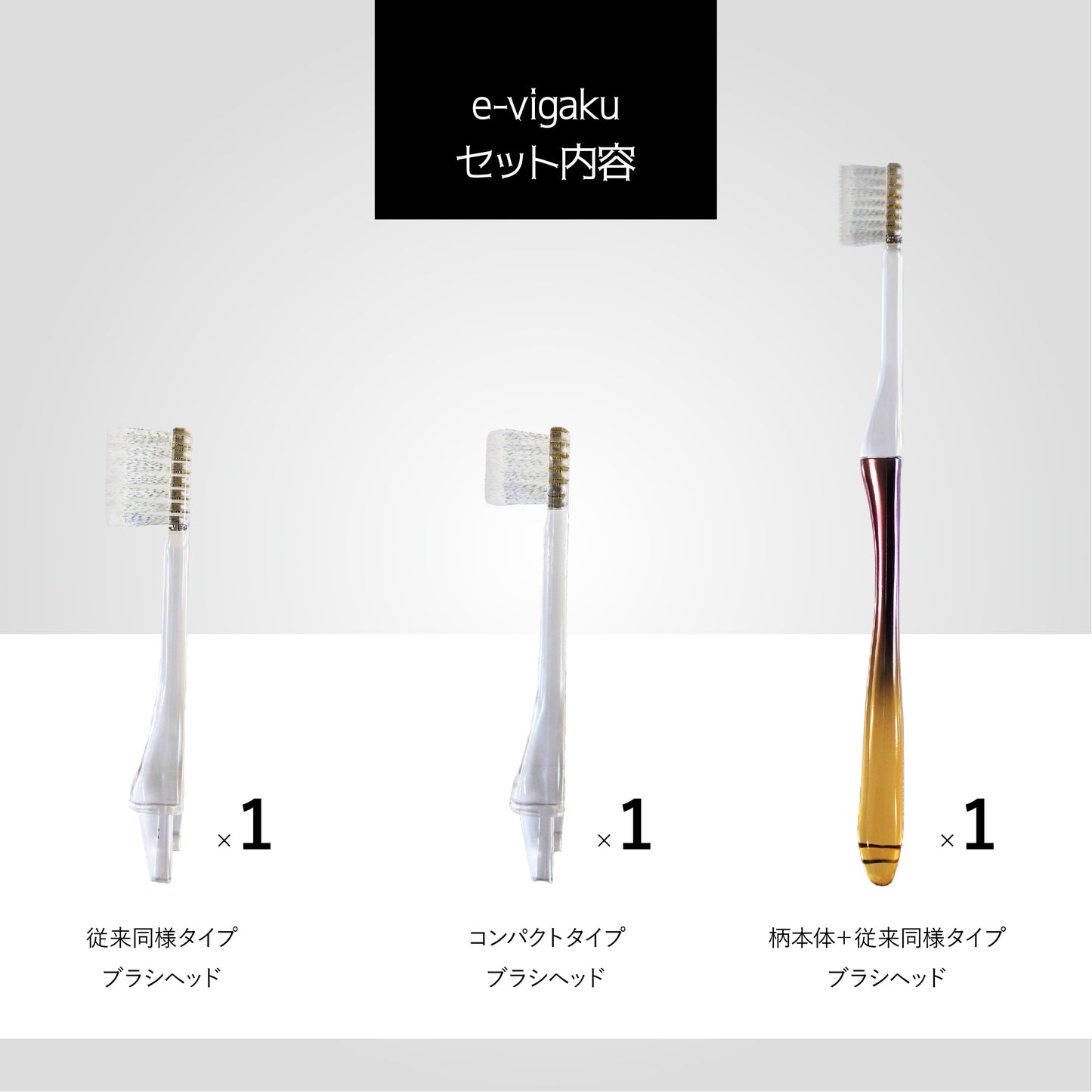 e-vigakuギフトセット・アプリコットオレンジ
