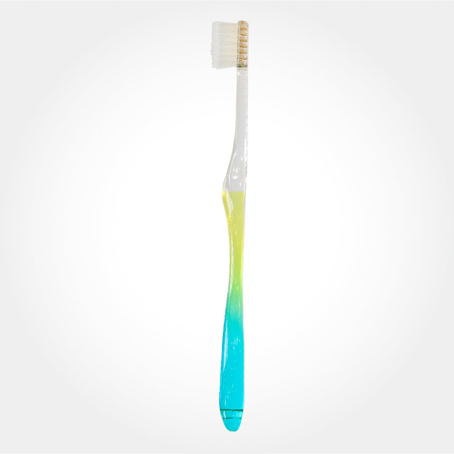 グラデーション・フラワーシリーズ