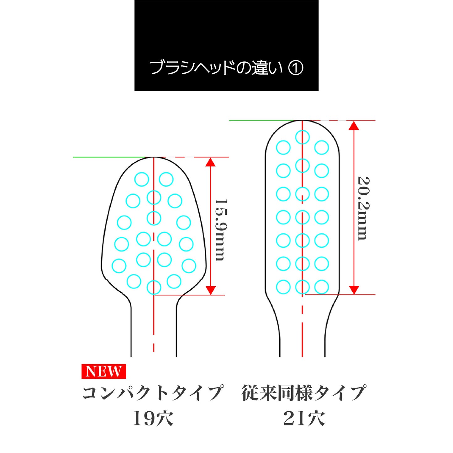 e-vigakuギフトセット・アプリコットオレンジ