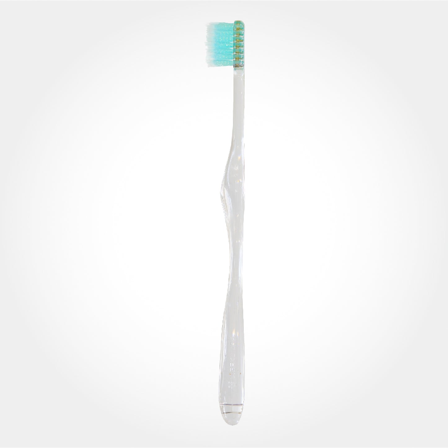 ファーストビガク