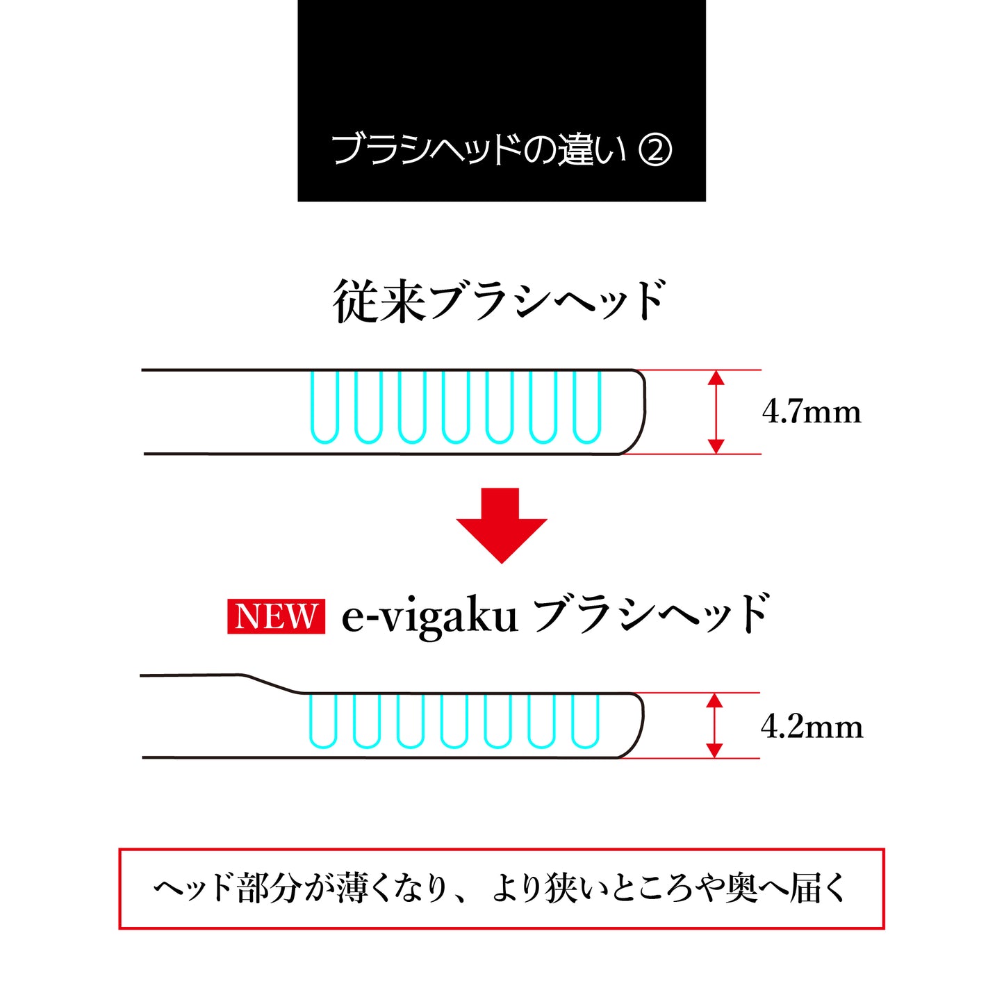 e-vigakuギフトセット・アプリコットオレンジ