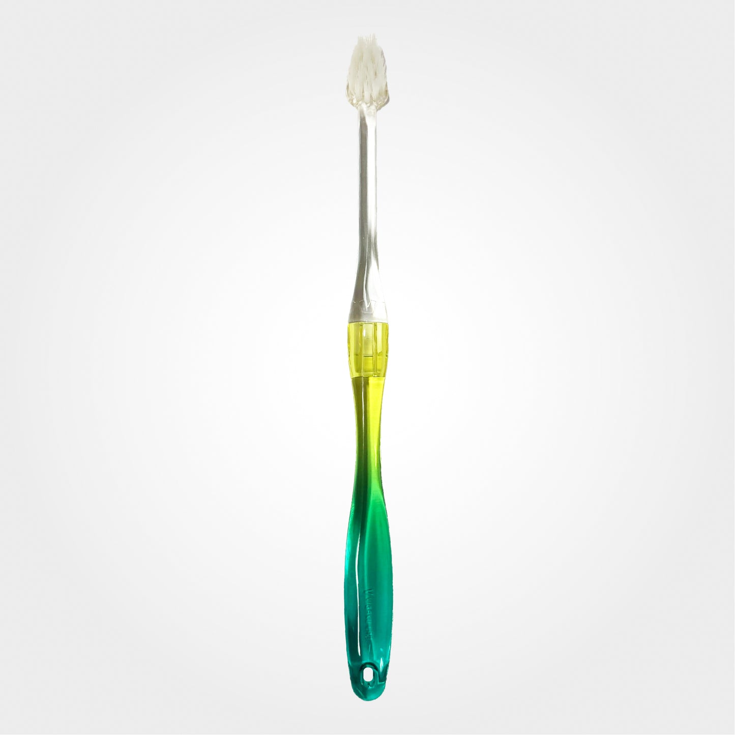 e-vigaku・フラワーシリーズ