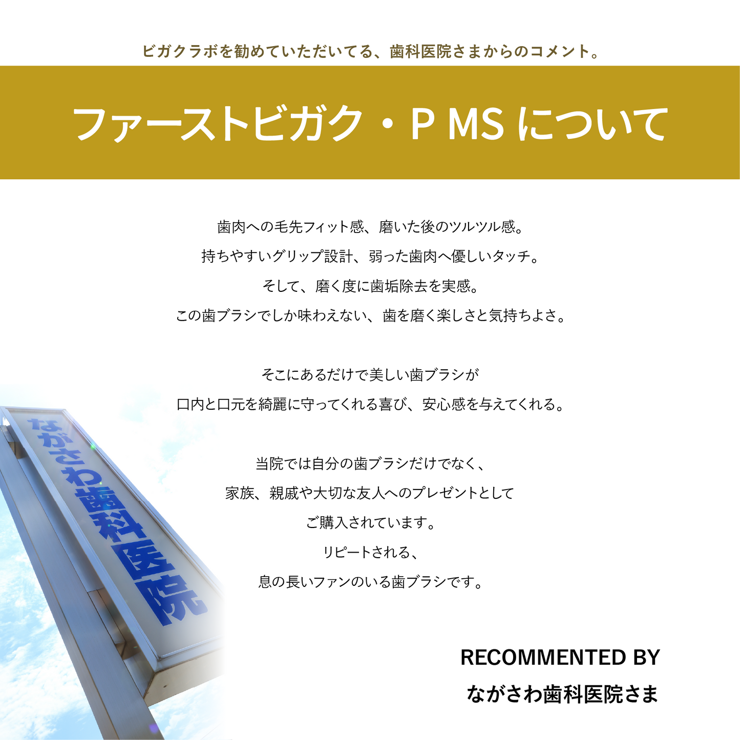 【やわらか・少しやわらか】ファーストビガク・ Pシリーズ（全2種）