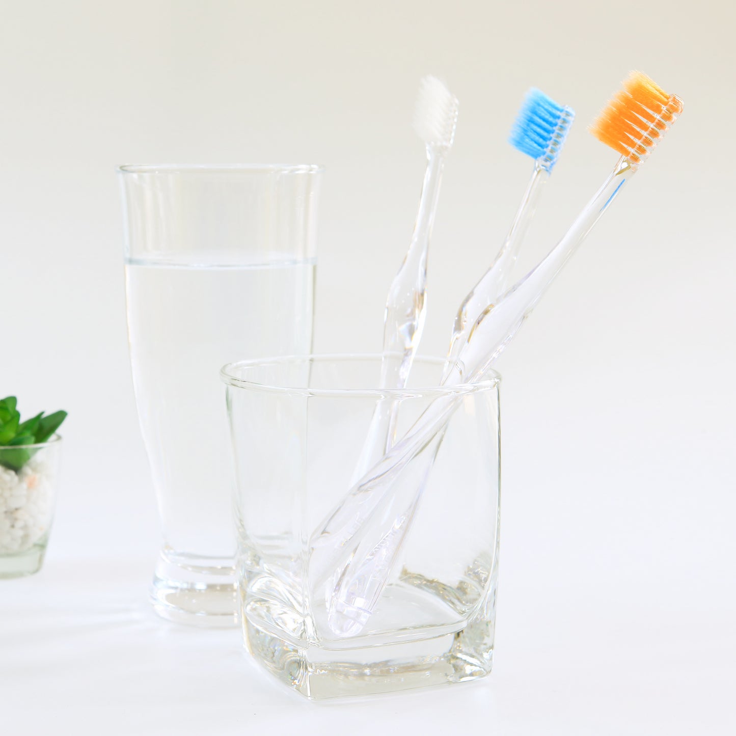 ファーストビガク