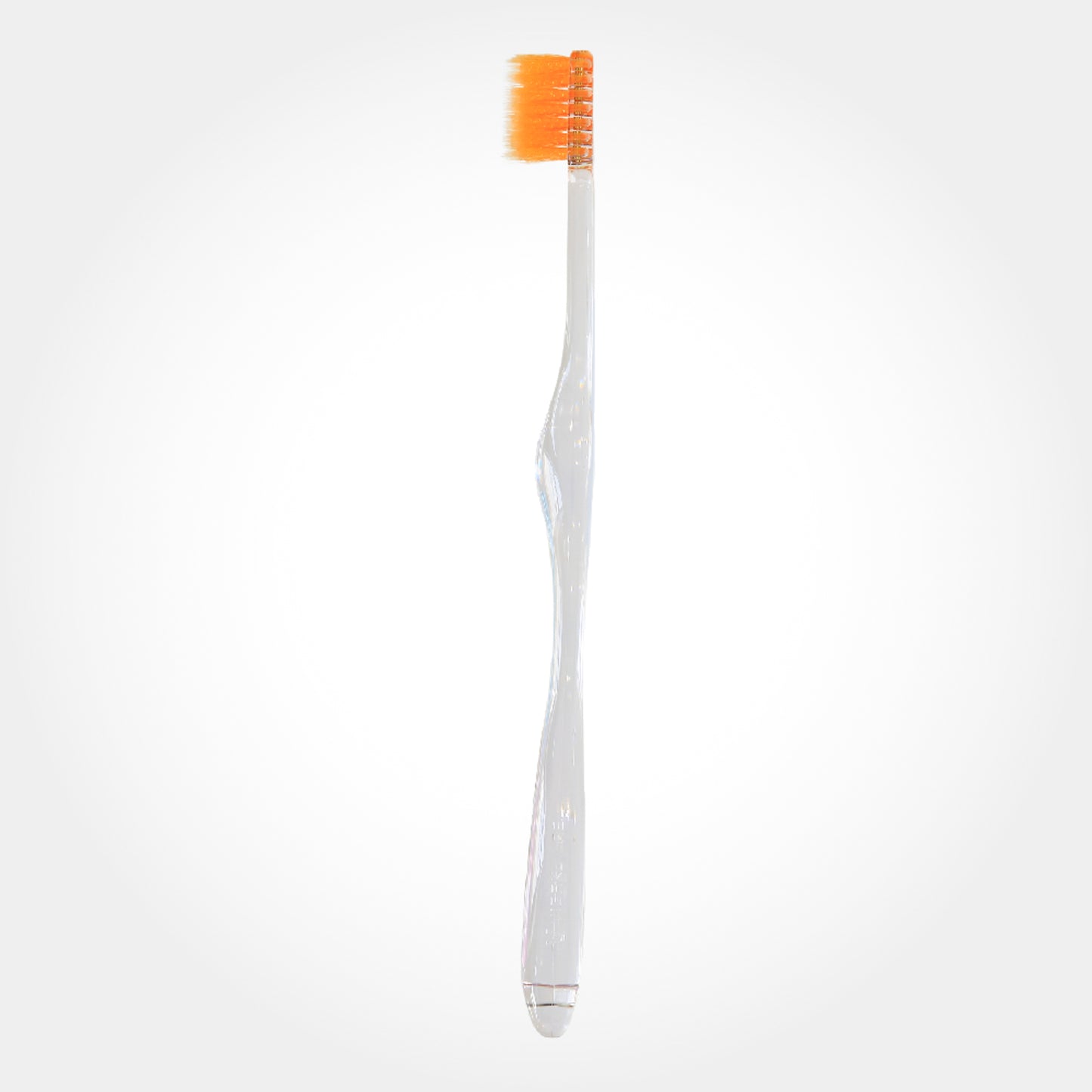 ファーストビガク