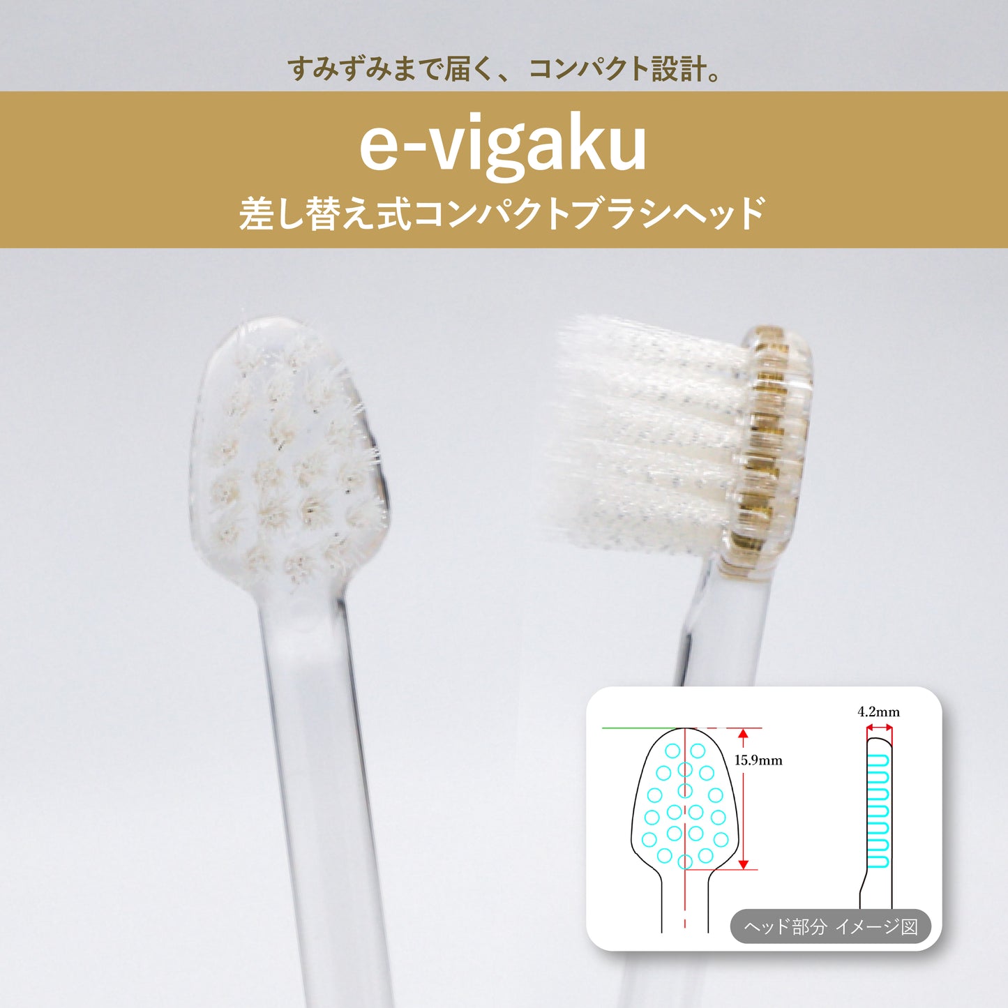 e-vigaku・フラワーシリーズ