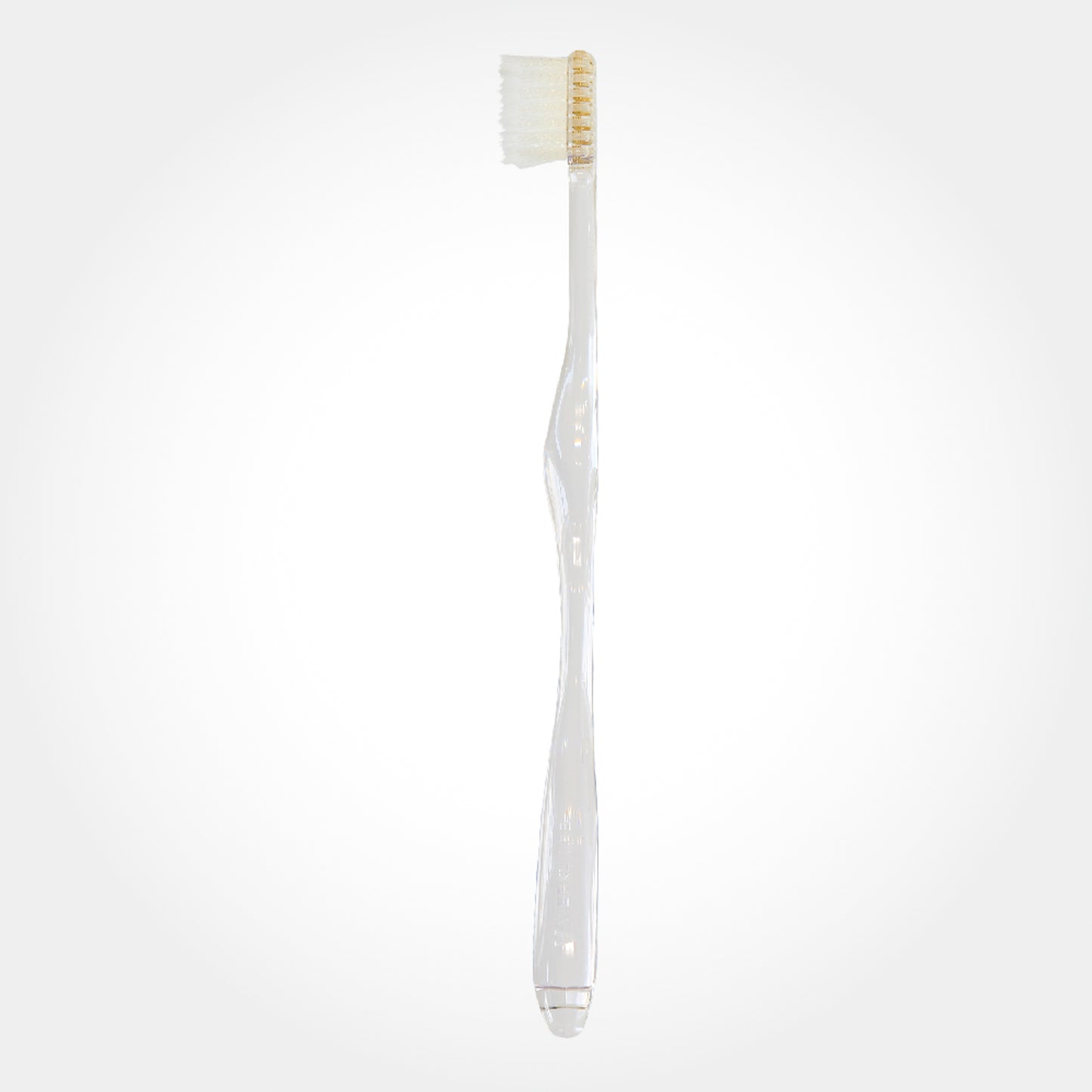 ファーストビガク